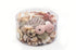 beach mix seashell pack